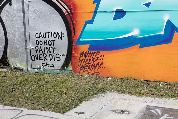 20161108_Wynwood_S5D3020