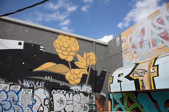 20161108_Wynwood_S5D3109