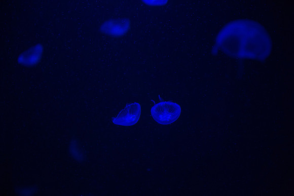 20170508_Science_Museum_9C7C5578