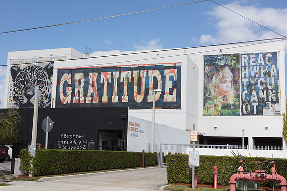 20161108_Wynwood_H5D2905