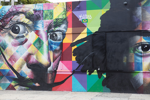 20161108_Wynwood_H5D2968