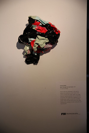 20150130_FIU_New_Exhibith_9C7C8075