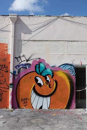 20161108_Wynwood_H5D2891