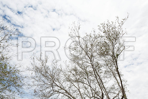 20140228_FIU_Nick_EXB_9C7C1548