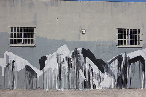 20161108_Wynwood_H5D2724