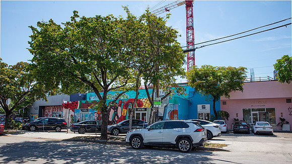 20220328_AMILI_Wynwood_75A0229