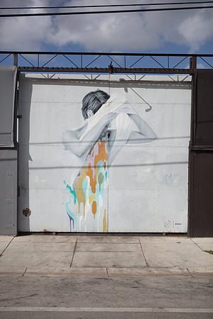 20161108_Wynwood_S5D3228