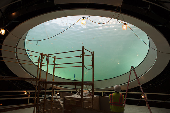 20170106_Science_Museum_S5D5773