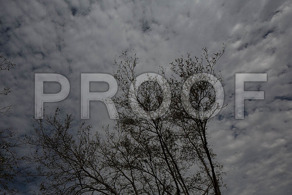 20140228_FIU_Nick_EXB_9C7C1542