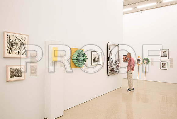 20140801_Pamm_9C7C8303
