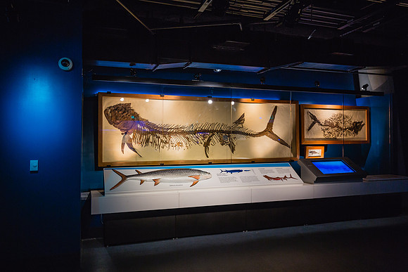 20170508_Science_Museum_9C7C5386
