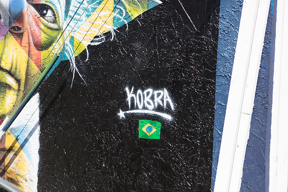 20161108_Wynwood_H5D2752