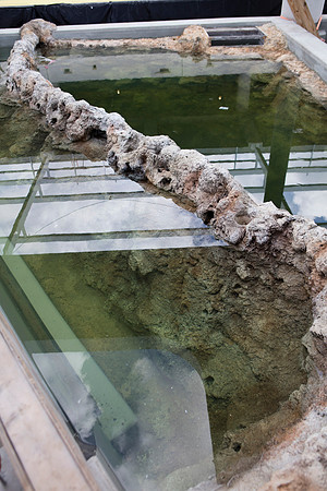 20160617_Science_Museum_S5A2180
