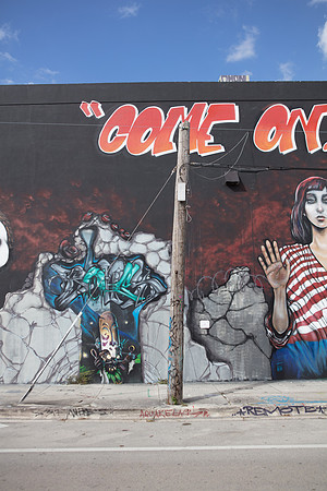 20161108_Wynwood_S5D3195