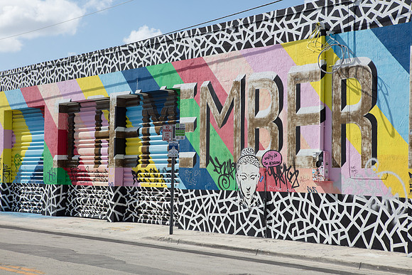 20161108_Wynwood_H5D2812