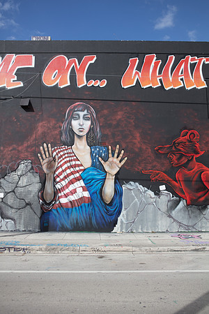 20161108_Wynwood_S5D3193