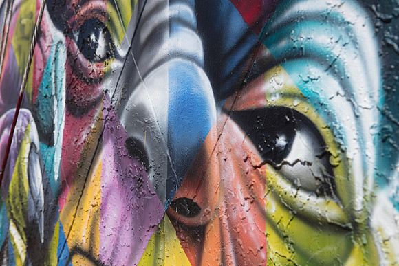 20161108_Wynwood_H5D2756