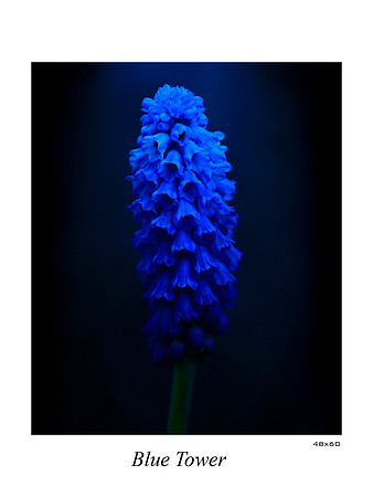Blue Tower