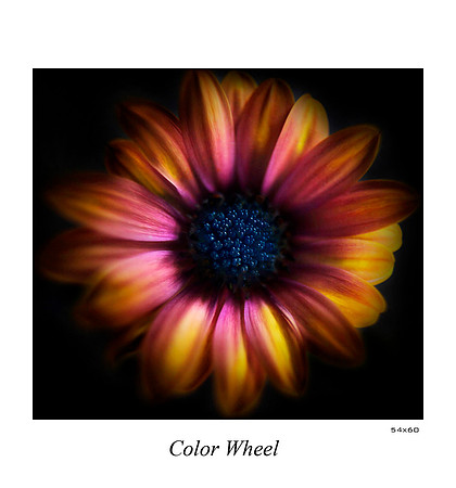 Color Wheel