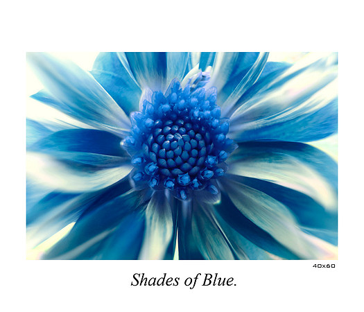 Shades of Blu