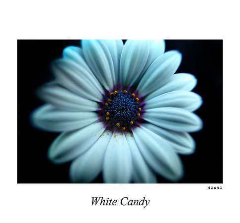 White Candy