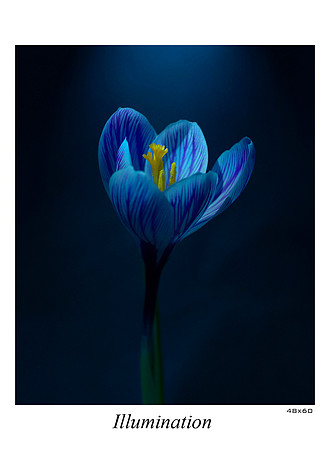 Illumination