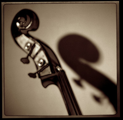 Bass Head_MGPfrt