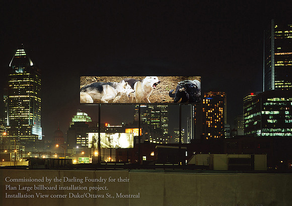 01 - Natural Selection, 2005