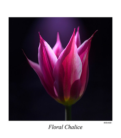 Floral Chalice