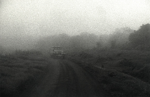 Through The Mist-1