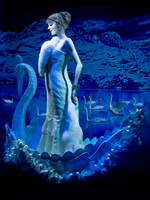 Leda And The Swan
