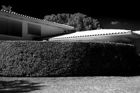 fla_hedge_1722flt