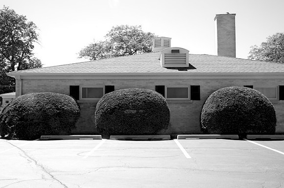 3bushesfuneral_prt