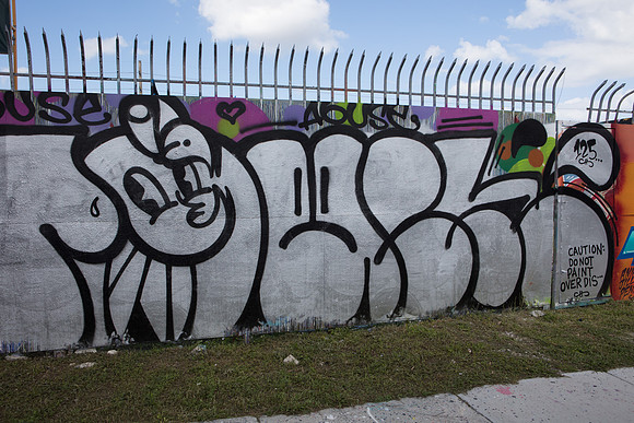 20161108_Wynwood_S5D3021