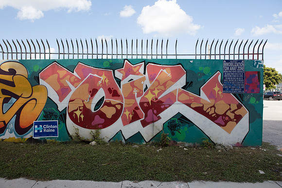 20161108_Wynwood_S5D3025