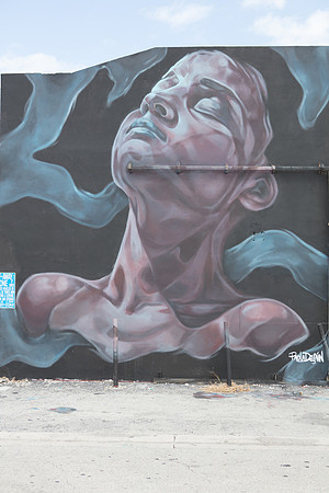 20161108_Wynwood_H5D2942