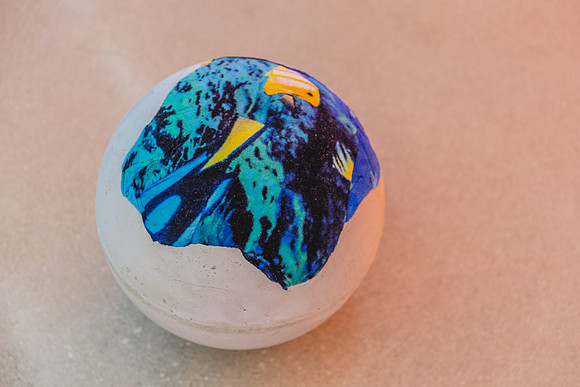 20150707_Pamm_9C7C3594