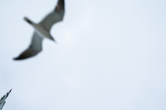 20260524_Air Show_Hunday_Fisher_DSC06747