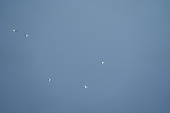 20260524_Air Show_Hunday_Fisher_DSC07835