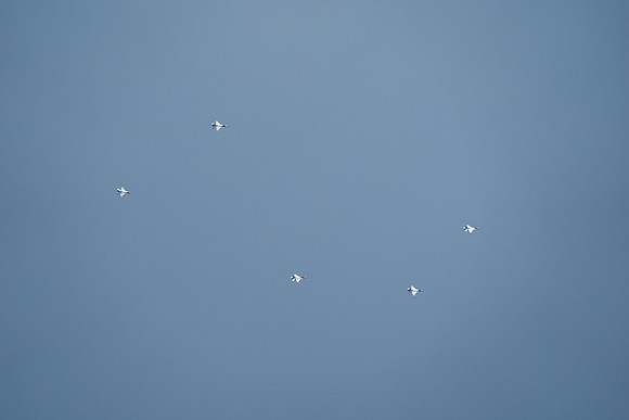 20260524_Air Show_Hunday_Fisher_DSC07840