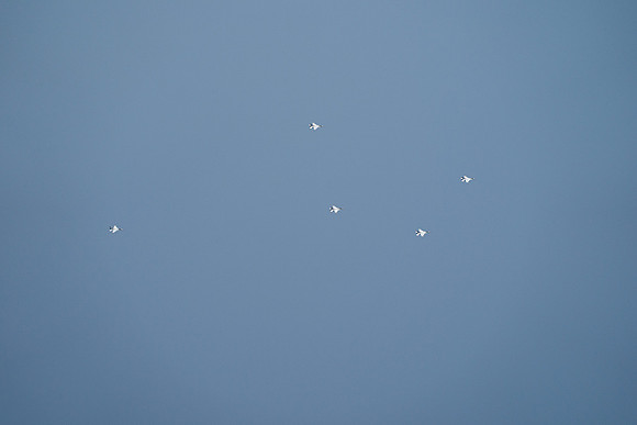 20260524_Air Show_Hunday_Fisher_DSC07845