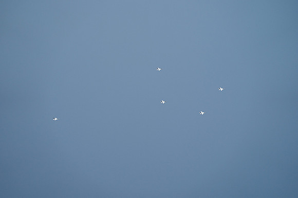 20260524_Air Show_Hunday_Fisher_DSC07849