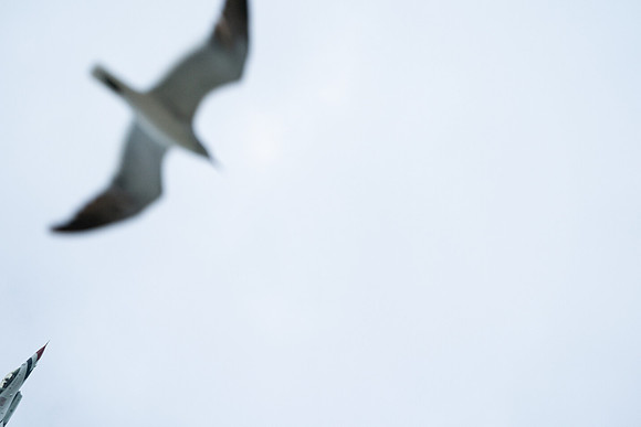 20260524_Air Show_Hunday_Fisher_DSC06747