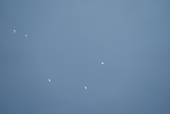 20260524_Air Show_Hunday_Fisher_DSC07835