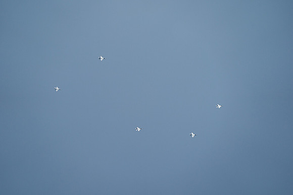 20260524_Air Show_Hunday_Fisher_DSC07840