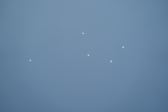 20260524_Air Show_Hunday_Fisher_DSC07845
