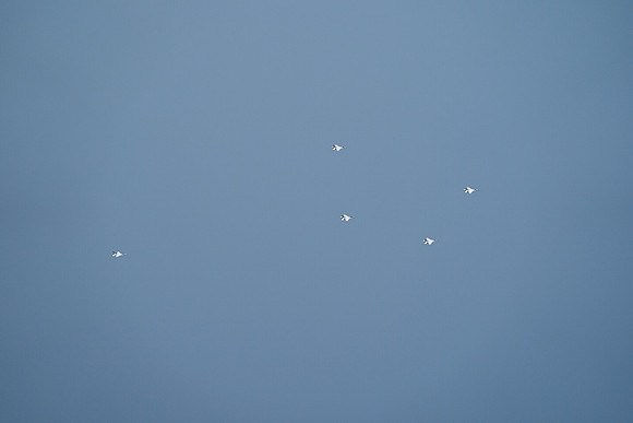 20260524_Air Show_Hunday_Fisher_DSC07849