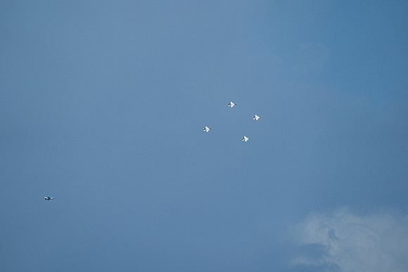 20260524_Air Show_Hunday_Fisher_DSC07862
