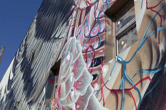 20161108_Wynwood_H5D2865