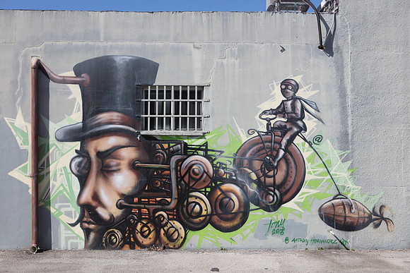 20161108_Wynwood_H5D2728